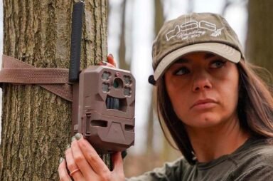 cellular trail camera​